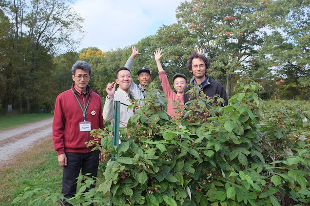 Adult delegation members sample some of the goods (raspberries) at Tom Johnson's Silferleaf Farm on Strawberry Hill Rd. in Concord (PHOTO BY KIYOSHI OKADA)